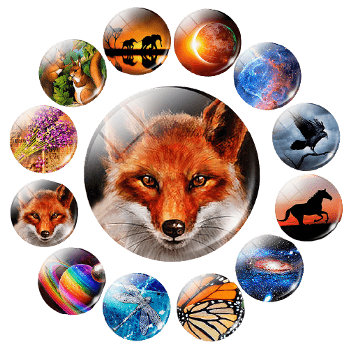 Magnet frigo animaux 12 pièces