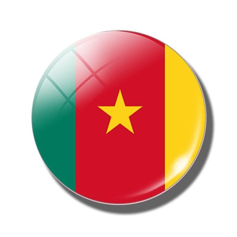 magnet frigo drapeau cameroun camerounais