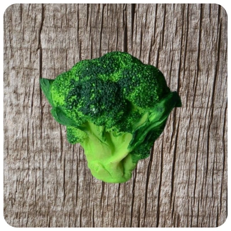 magnet frigo brocoli vert