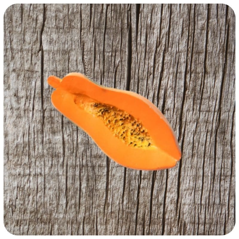 aimant frigo papaye papaya