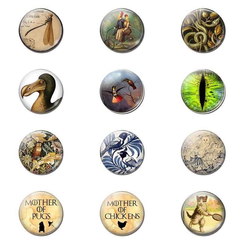 animaux magnet frigo univers magnétique autocollants aimantés et magnétique animaux