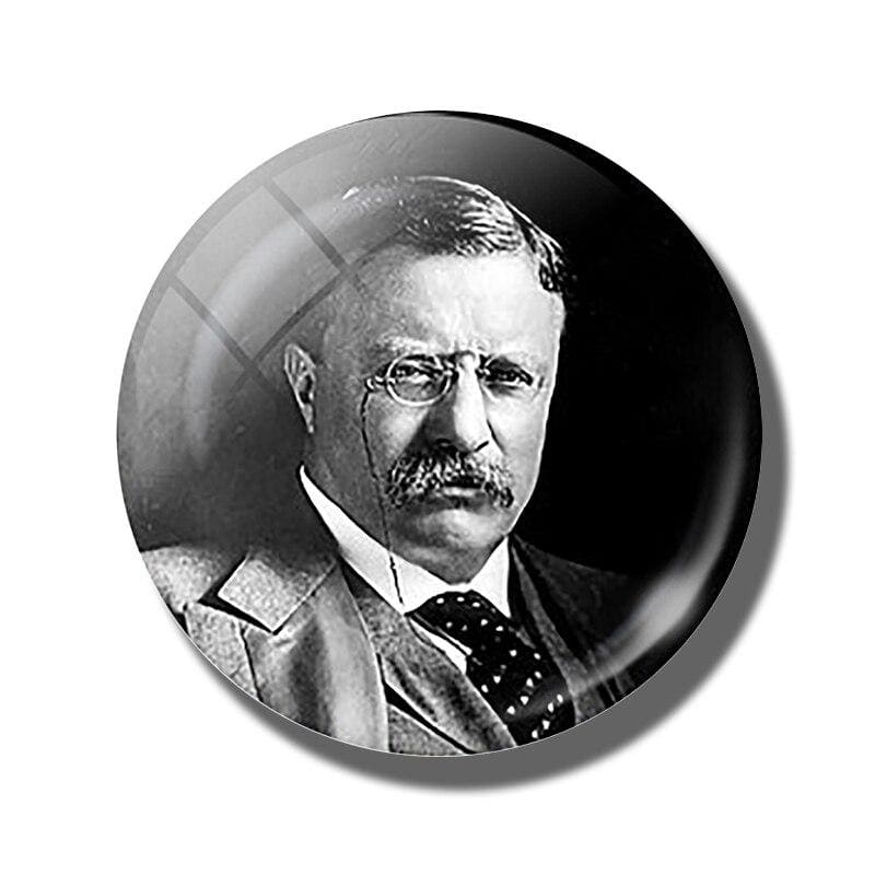 magnet frigo drapeau Theodore Roosevelt
